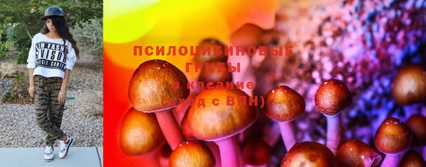 героин Алексин